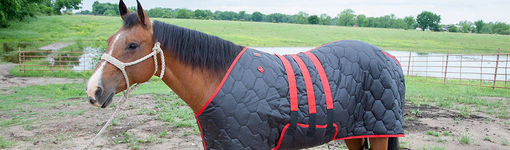 Horse Blankets